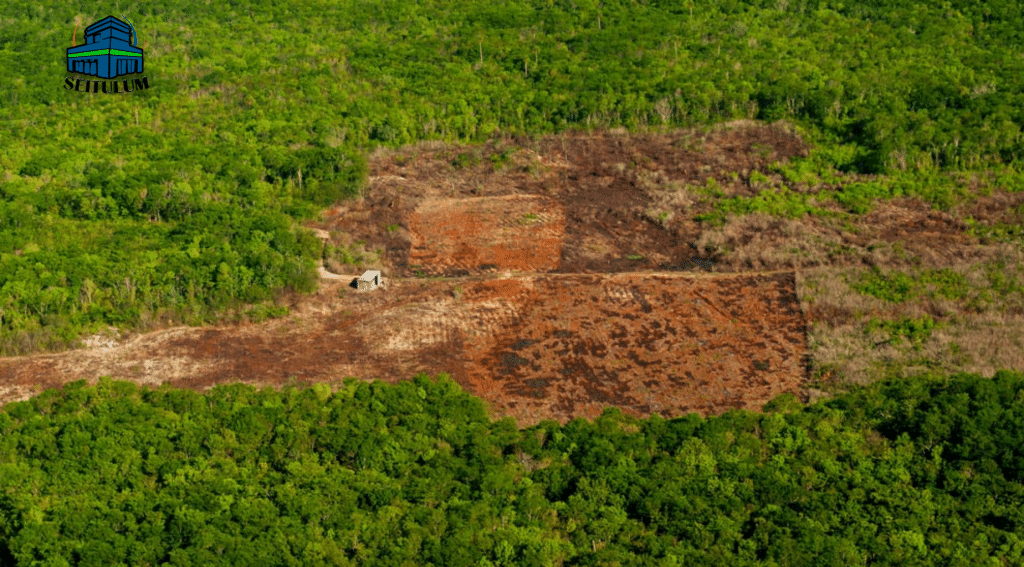 Cálculo Estructural en Terreno Calizo_ La Fuerza de la Precisión - SUMINISTROS E INFRAESTRUCTURAS DE TULUM - SEITULUM