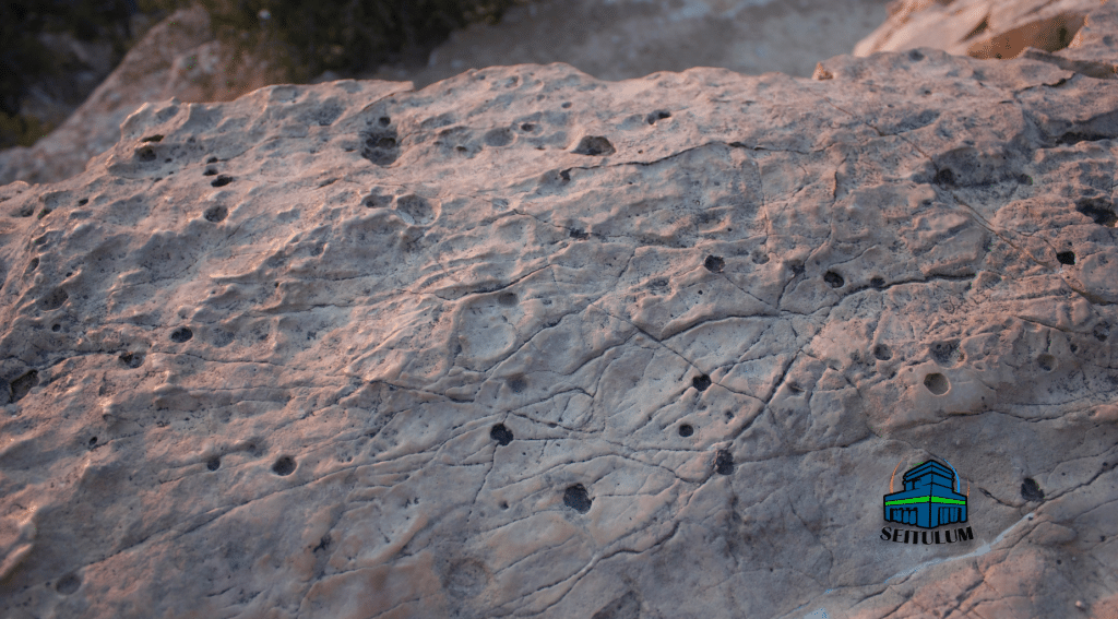 Cálculo Estructural en Terreno Calizo_ La Fuerza de la Precisión - SUMINISTROS E INFRAESTRUCTURAS DE TULUM - SEITULUM